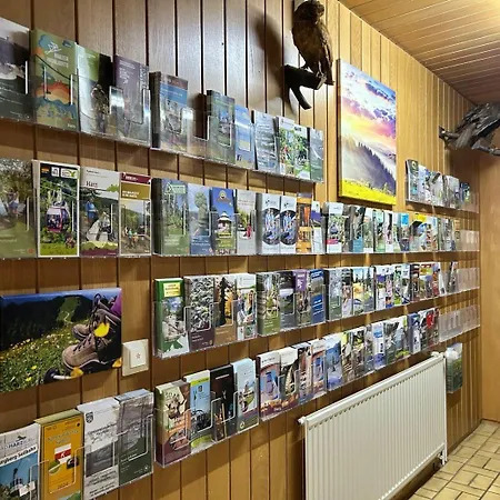 Gruppenunterkunft-klein-holland-harz-aussergewoehnlich-und-einzigartig-mit-grossartiger-unterhaltung-fuer-jedes-alter-fuer-bis-zu-24-personen 펜션
