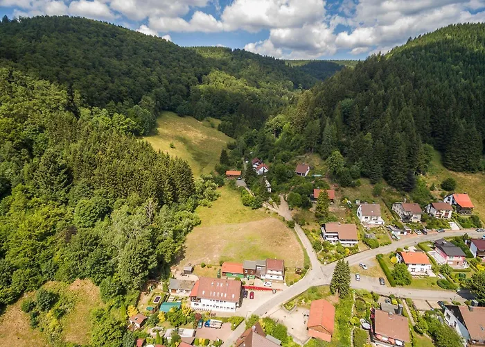 Gruppenunterkunft-klein-holland-harz-aussergewoehnlich-und-einzigartig-mit-grossartiger-unterhaltung-fuer-jedes-alter-fuer-bis-zu-24-personen Σπίτι διακοπών *