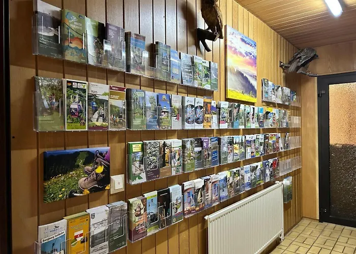 Gruppenunterkunft-klein-holland-harz-aussergewoehnlich-und-einzigartig-mit-grossartiger-unterhaltung-fuer-jedes-alter-fuer-bis-zu-24-personen Σπίτι διακοπών